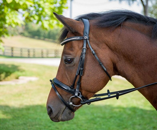 Henri de Rivel Diamonte Dressage Bridle - black PONY 1 for horses English Tack, Bridles, Bridles & Reins