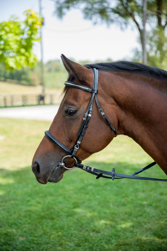 Henri de Rivel Clincher Bridle - black OVERSIZE 1 for horses English Tack, Bridles, Bridles & Reins