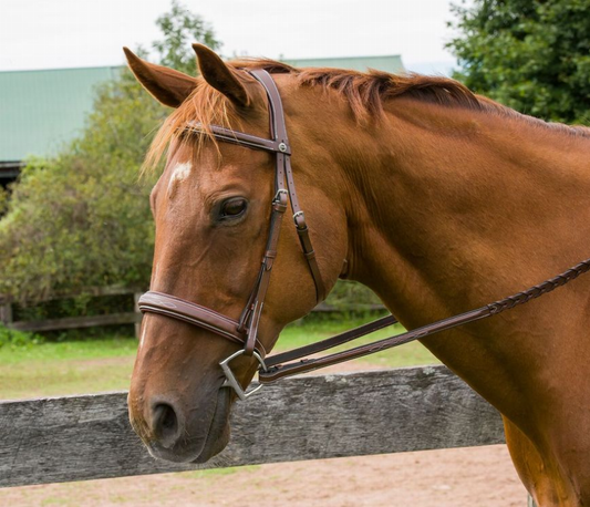 Henri de Rivel Pro Mono Crown Bridle with Padded Wide Noseband Laced Reins - Australian nut PONY 1 for horses...