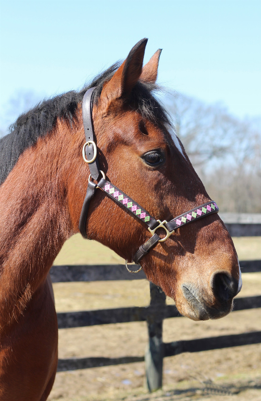 Henri de Rivel Buffy Embroidered Leather Halter - Havana PONY 1 for horses English Tack, Halters & Leads,