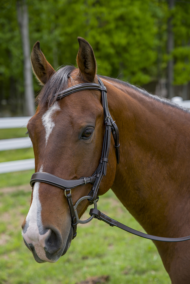 Henri de Rivel Pro Anatomical Bridle - havana OVERSIZE 1 for horses English Tack, Bridles, Bridles & Reins