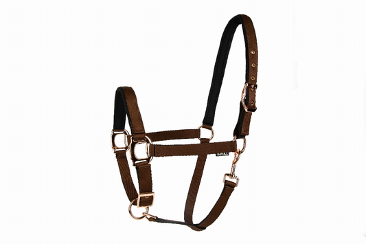 Lettia Rosegold Padded Leather Breakaway Halter - Black/rosegold hardware COB 1 for horses English Tack, Halters...