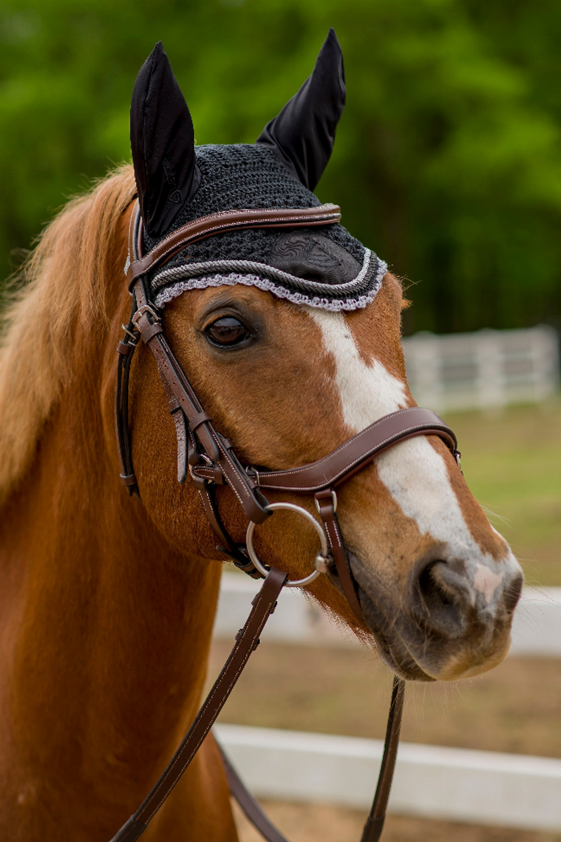 Lettia Shadow Ear Net - Black 1 for horses Fly Bonnets, Protection, Horse Clothing