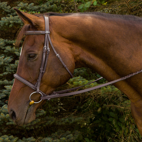 Henri de Rivel Advantage Fancy Raised Padded Bridle With Laced Reins