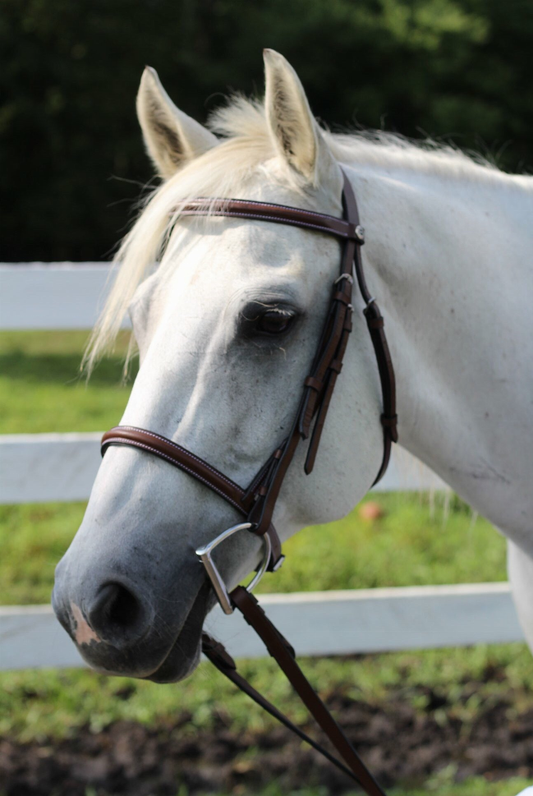 Henri de Rivel Advantage Plain Raised Snaffle Bridle With Laced Reins - Havana PONY 1 for horses English Tack, E...