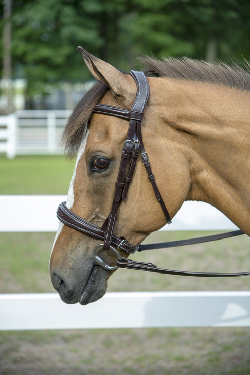 Henri de Rivel Pro Mono-Crown Padded Wide Noseband Bridle - Havana OVERSIZE 1 for horses English Tack, B...