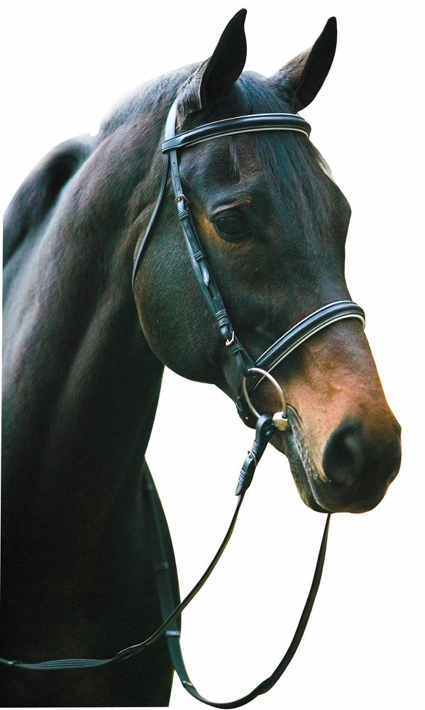 Henri de Rivel Pro Padded Dressage Bridle with Web Reins