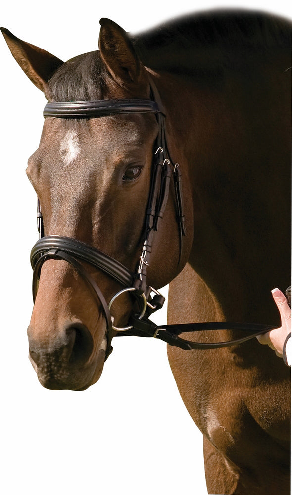 Henri de Rivel Pro Padded Raised Dressage Bridle with Crank Flash Noseband Web Reins - Black OVERSIZE 1 for h...