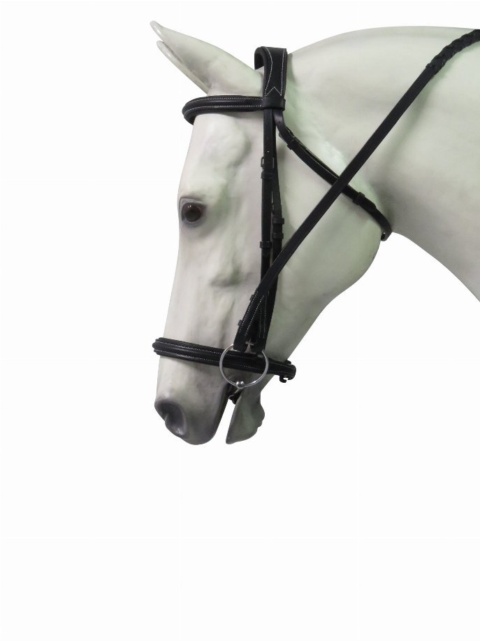 Henri de Rivel Pro Mono Crown Padded Bridle