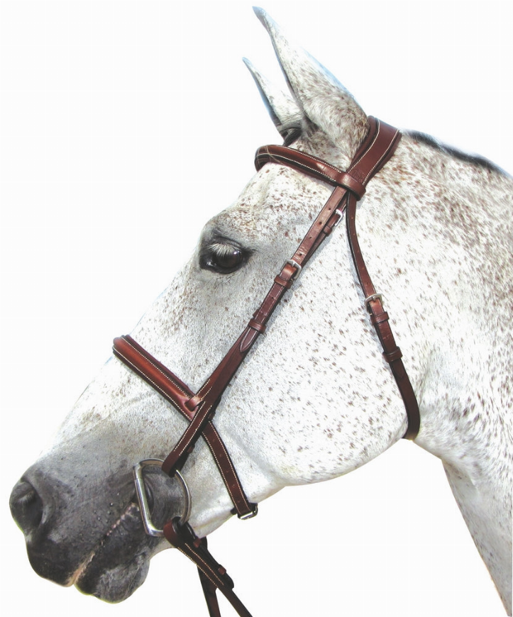 Henri de Rivel Pro Mono Crown Padded Bridle