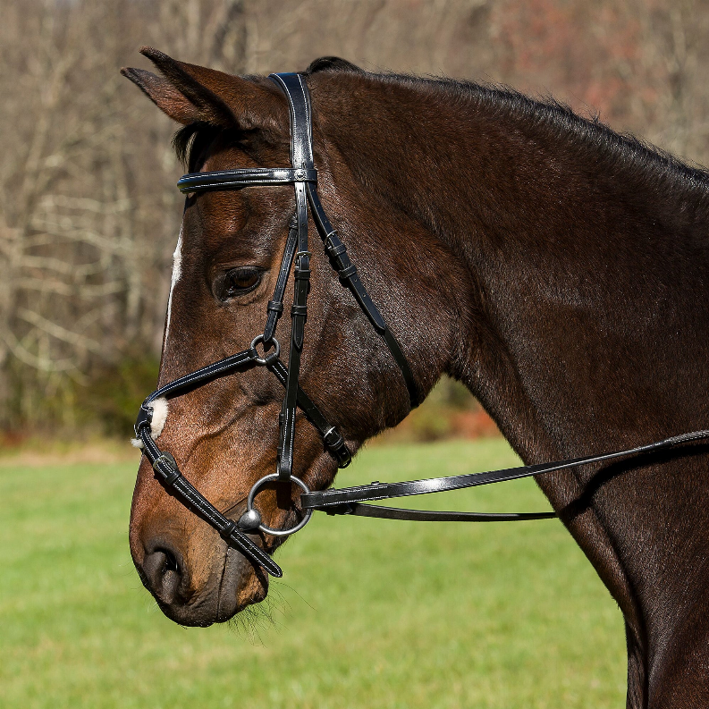 Henri de Rivel Pro Mono Crown Raised Figure Eight Bridle with Rubber Reins