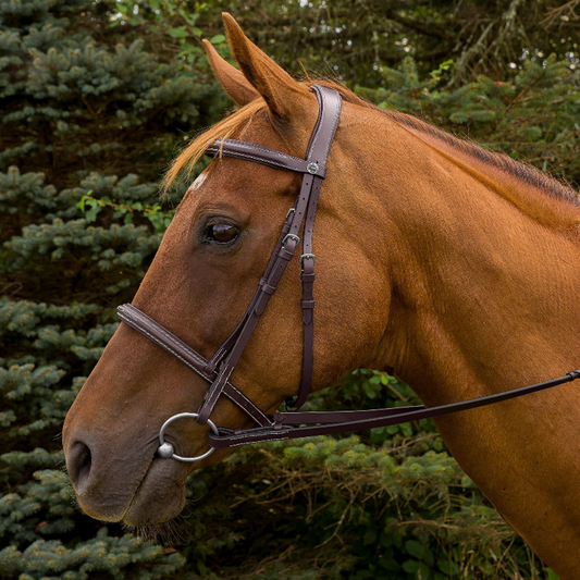 Henri de Rivel Pro Mono Crown Fancy Stitched Padded Bridle - Australian nut PONY 1