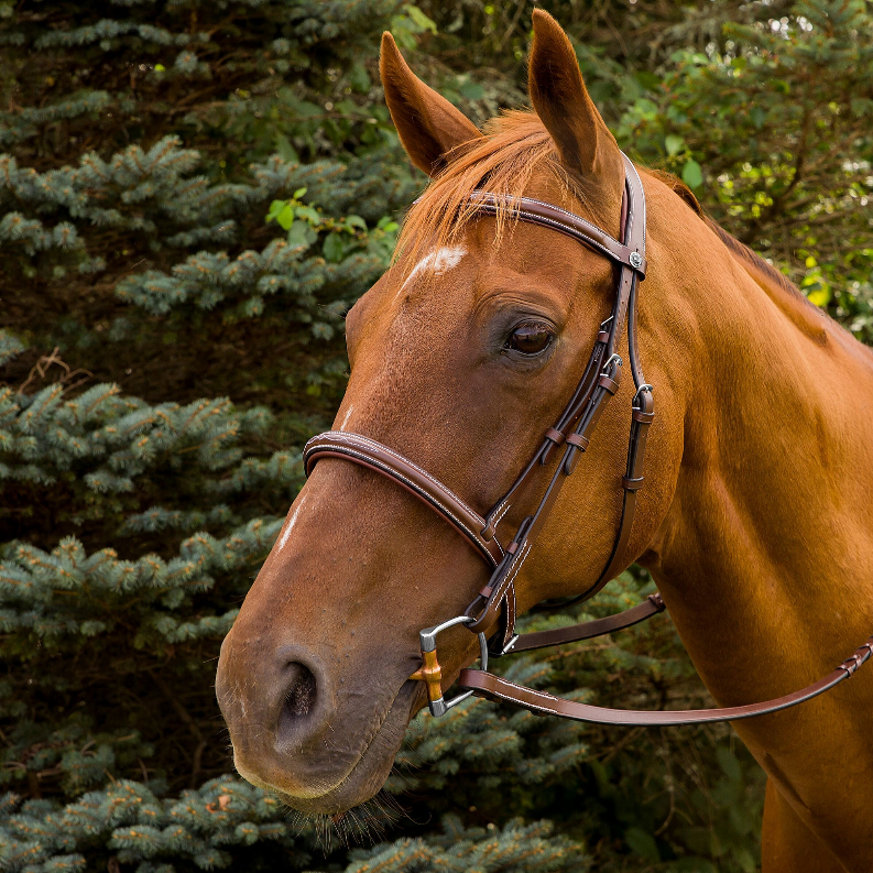 Henri de Rivel Pro Mono Crown Fancy Stitched Padded Bridle