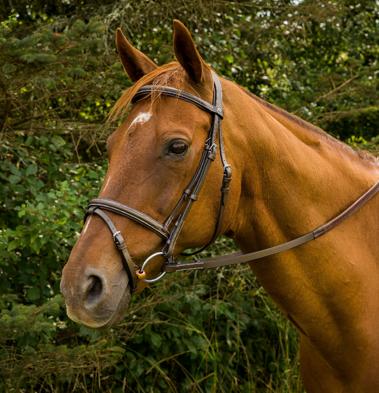 Henri de Rivel Pro Mono Crown Bridle with Flash and Rubber Reins - Havana OVERSIZE 1 for horses English Tack, En...