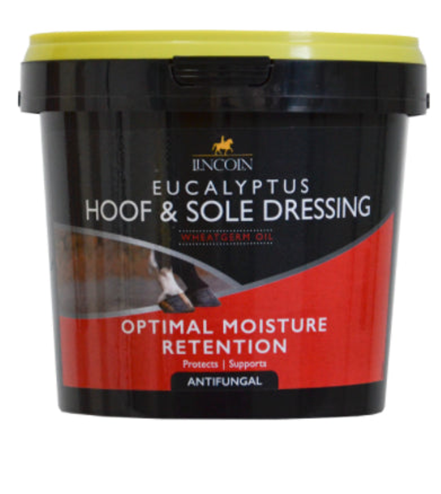 Lincoln Eucalyptus Hoof & Sole Dressing - First Aid Supplies, Horse Care, Therapy 1 LITRE