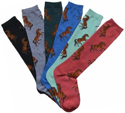 AWST Int'l Ladies "Lila" Bay Horse Knee Socks-6 Pack - Accessories, Apparel & Gear, Socks