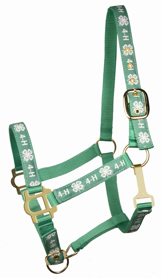 4H Classic Adjustable Nylon Halter With Snap - Green MINIATURE 1 for horses Western Tack, Halters, Halters