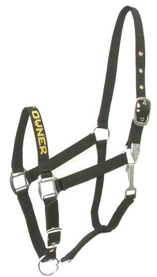 Gatsby "I Love My" Nylon Halter - Black/horse HORSE 1 for horses Halters & Leads, English Tack,