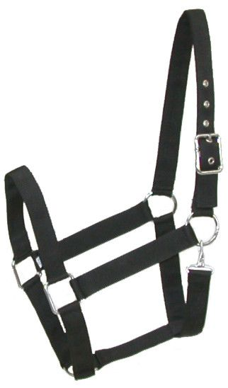 Gatsby Nylon Draft Halter with Snap - Brown 1 for horses English Tack, Halters & Leads,