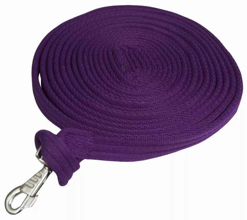 Gatsby Cushion Web Lunge Line With Loop Handle