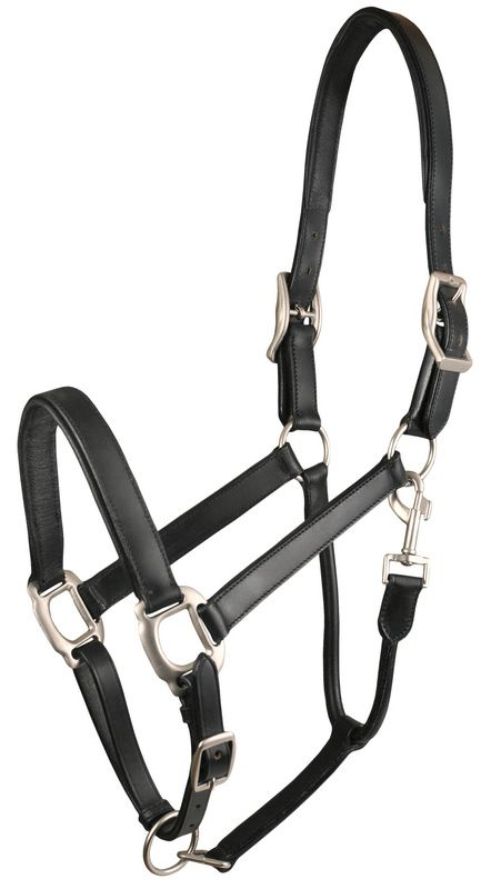 Gatsby Adjustable Padded Leather Halter - Black COB 1 for horses Halters & Leads, English Tack,