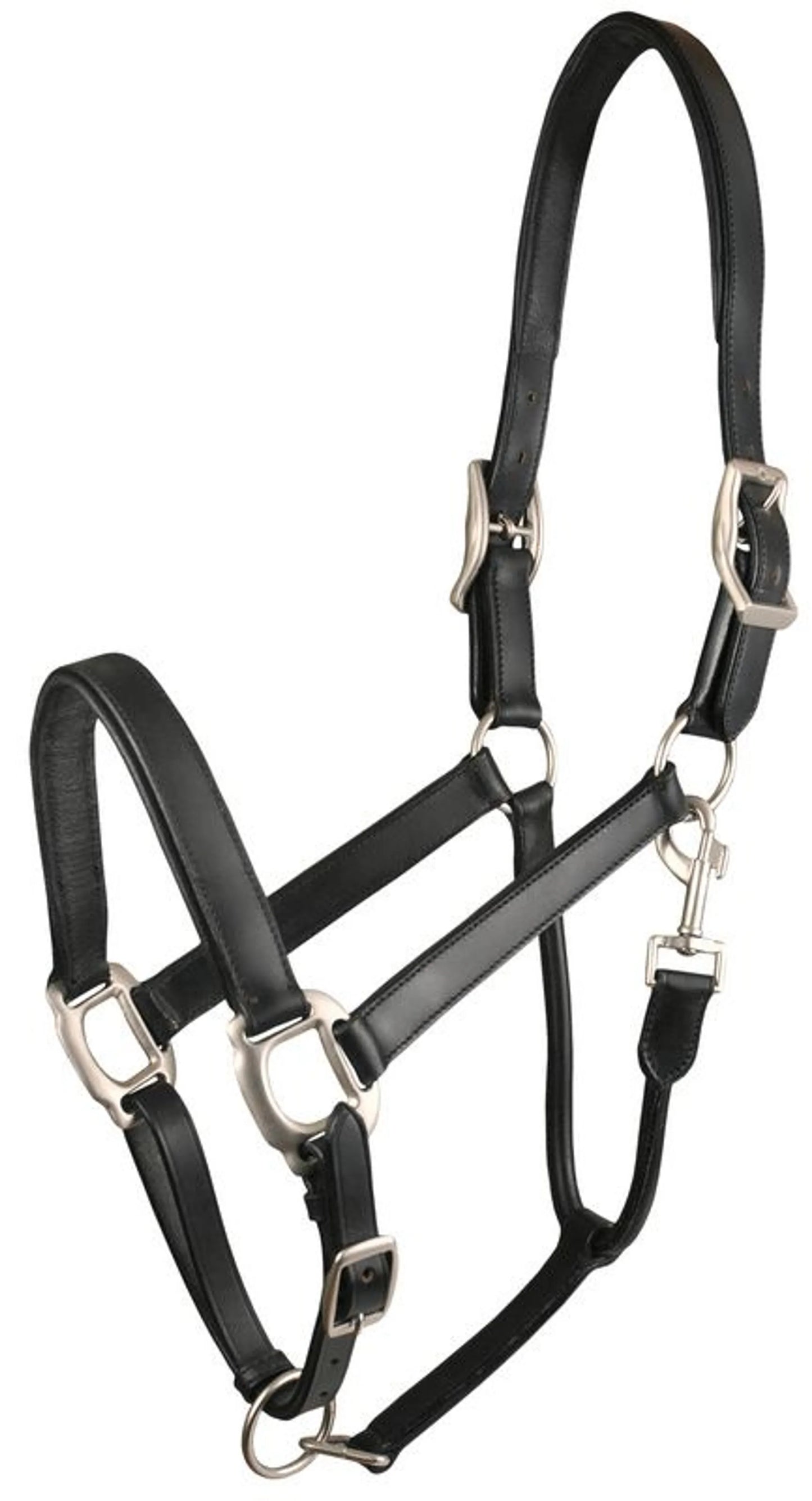 Gatsby Adjustable Padded Leather Halter