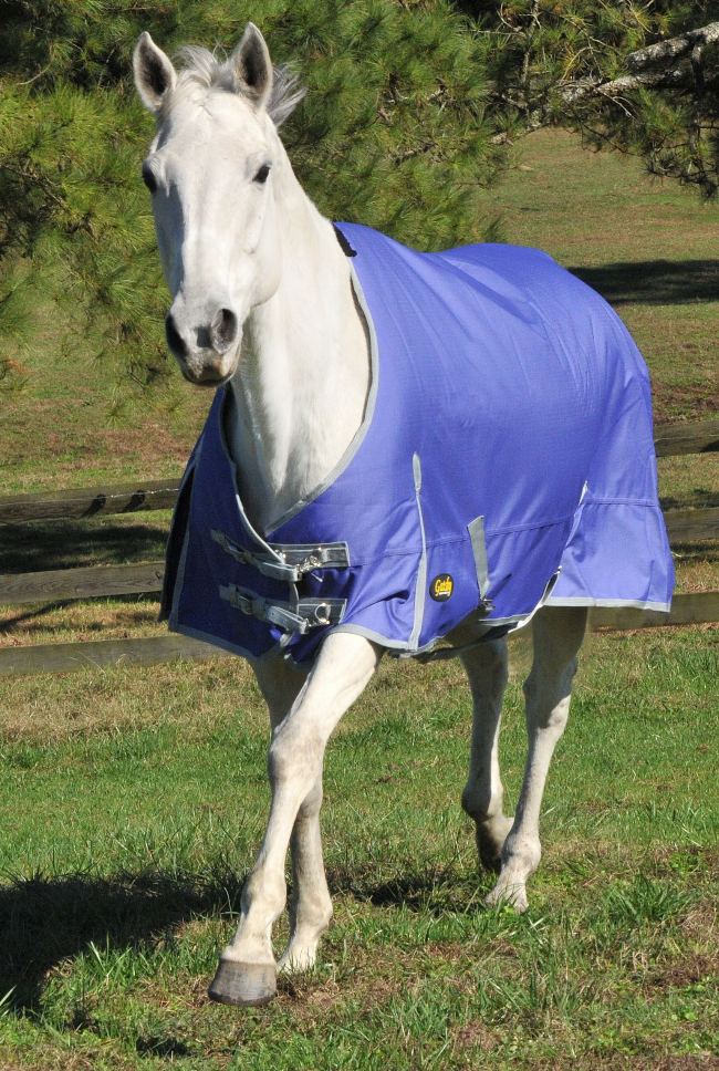 Gatsby Premium 1200D Mediumweight Waterproof Turnout Blanket - Purple 84" 1 for horses Turnouts, Blankets, Horse...