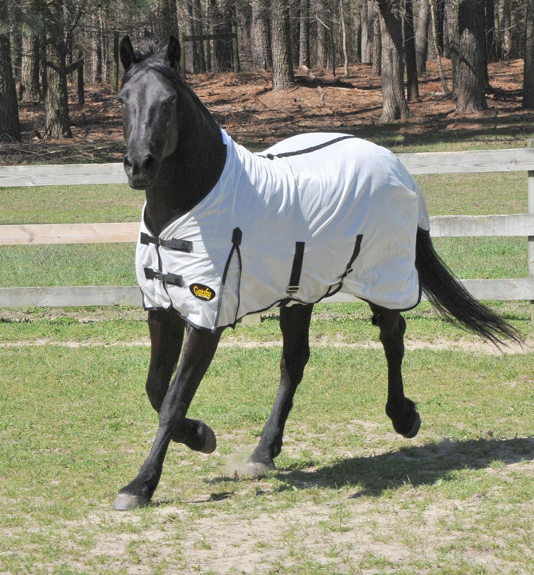 Gatsby Softmesh Standard Fly Sheet - White with black trim 82 1 for horses Protection, Sheets, Horse Clothing