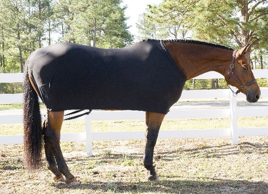 Gatsby Lycra Full Sheet - Teal SMALL (500-800LBS) 1 for horses Turnouts, Horse Clothing, Sheets