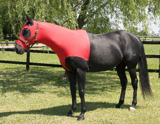 Gatsby Lycra Mane Stay Hood - Teal SMALL (500-800LBS) 1 for horses Hoods, Horse Care, Grooming