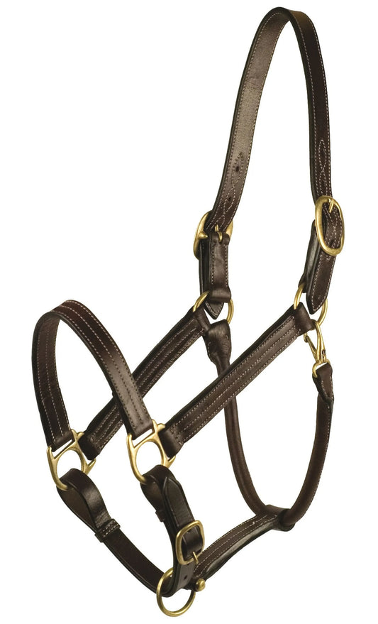 Gatsby Premium Adjustable Triple Stitched Halter - Havana OVERSIZE 1 for horses Halters & Leads, English Tack, H...