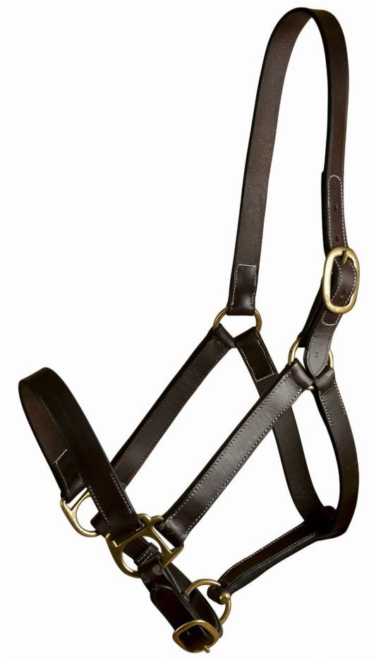 Gatsby Leather Adjustable Turnout Halter Without Snap - Havana OVERSIZE 1 for horses English Tack, Halters & Lea...